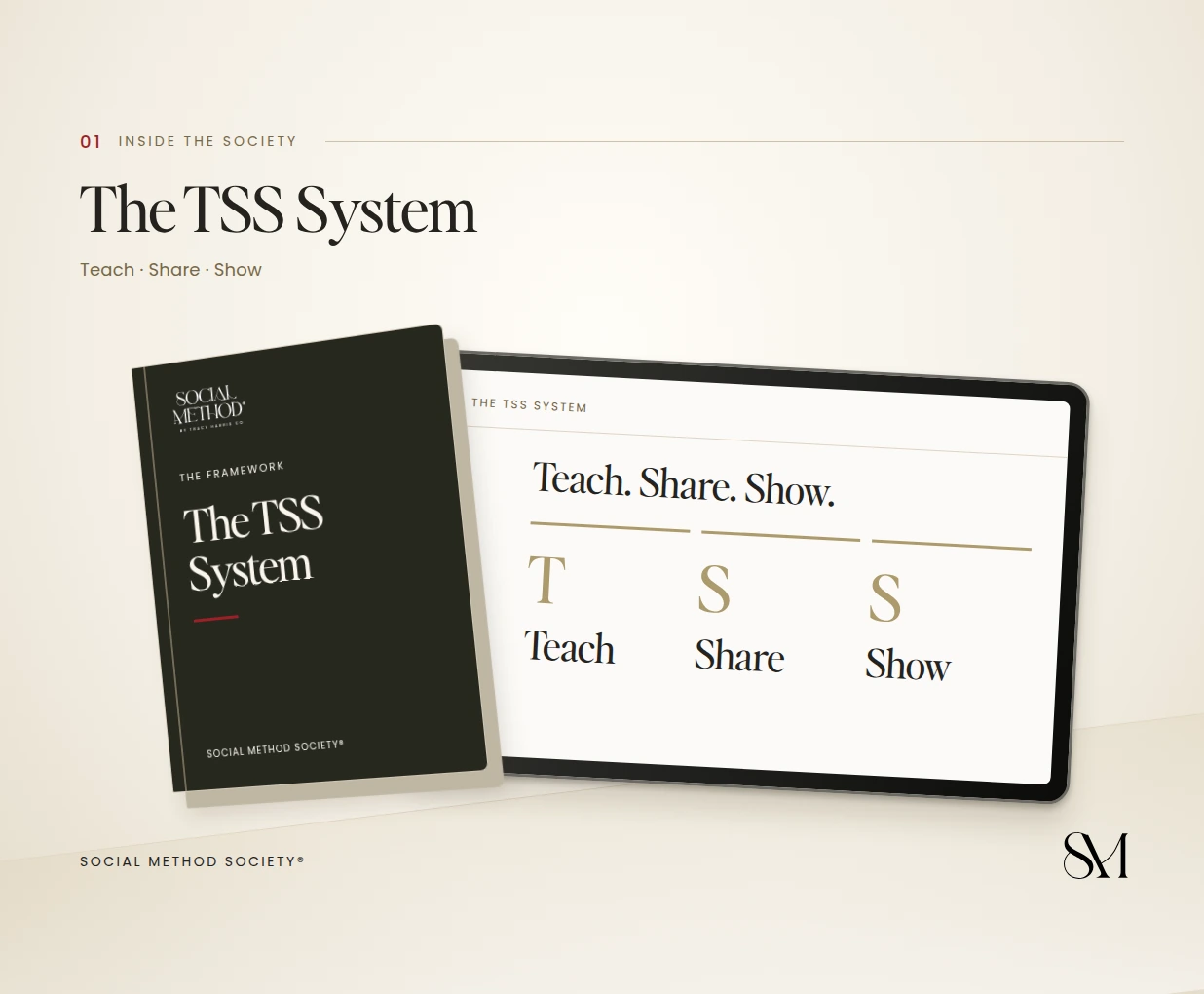 The TSS System